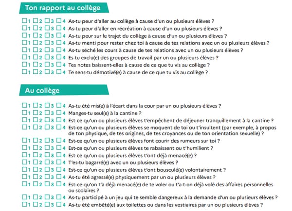 Extrait du questionnaire sur le harcèlement scolaire distribués aux collégiens du 9 au 15 novembre 2023.