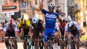 Alaphilippe
