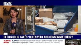 Taxation des petits colis: "Ce que l'Union européenne propose pour l'instant sera quasiment inefficace", affirme Aurélie Trouvé (LFI)