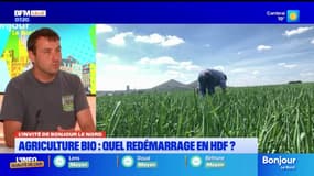 Hauts-de-France: l'agriculteur Michel Delille pointe le "désintérêt des consommateurs" pour le bio