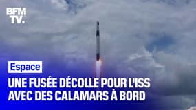 Une fusée de ravitaillement décolle pour l'ISS avec des calamars à bord