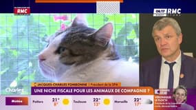 Niche fiscale pour les animaux, bonne idée?  "Si les bonnes personnes en bénéficient"