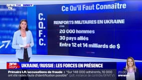 Crise ukrainienne: où sont positionnées les forces russes ?