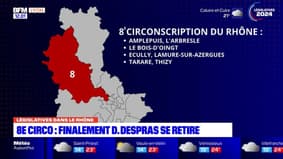 Législatives dans le Rhône: finalement pas de quadrangulaire dans la 8e circonscription