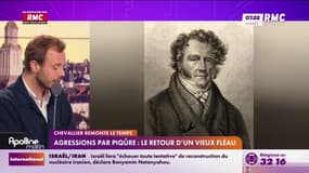 Agressions par piqûre : le retour d'un vieux fléau