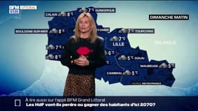 Météo Nord-Pas-de-Calais: un ciel très chargé attendu ce dimanche, jusqu'à 9°C à Lille 