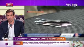 Les histoires de Thomas Schnell : Le chien mange le passeport avant le mariage en Italie - 23/08