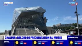 Lyon: record de fréquentation pour le musée des Confluences