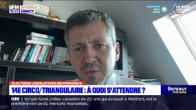 Législatives: le député RN Franck Allisio dénonce "des magouilles politiques" après le désistement de nombreux candidats pour faire barrage au RN