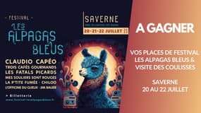 A Gagner : vos places et votre visite des coulisses du festival les Alpagas bleus