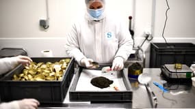 Un ouvrier remplit une boîte de caviar à l'atelier de production de caviar d'esturgeon à Saint-Genis-de-Saintonge, dans le sud-ouest de la France, le 18 décembre 2023.