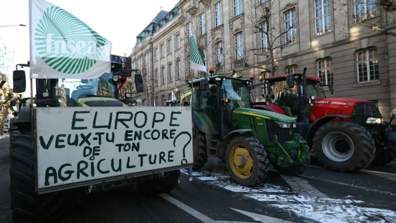 EDITO. LFI qui s'aligne sur la Coordination rurale d'extrême droite, Macron qui charge Bruxelles, la droite républicaine qui donne dans le "populisme agricole"... L'accord avec le Mercosur les rend-ils tous fous?