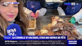 La coquille Saint-Jacques, star des repas de fête - 16/10