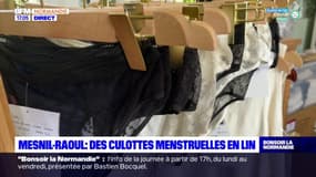 Seine-Maritime: des culottes menstruelles en lin fabriquées à Mesnil-Raoul