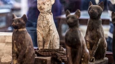 Egypte Des Momies D Animaux Et Des Statuettes Devoilees Au Caire