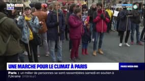 Paris: des dizaines de milliers de personnes réunies pour le climat