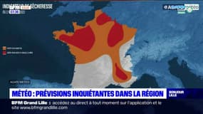 Hauts-de-France: quelles conséquences de la vague de chaleur qui s'annonce ? 