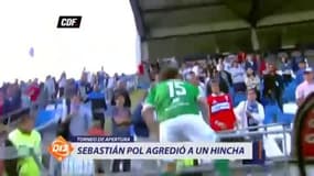 Un joueur agresse un supporter d'un coup de pied !