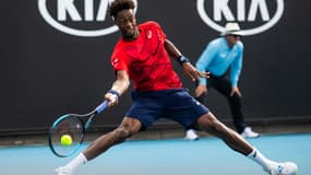 monfils