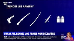 Vous avez une semaine pour rendre vos armes non déclarées sans risque de poursuites