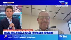 Incendie de la Montagnette: le massif rouvert trois ans après