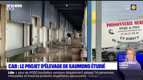 CAB: le projet d'élevage de saumons étudié