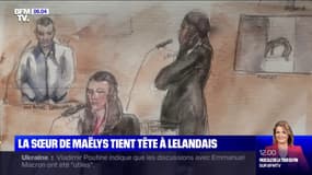 "L'avez-vous violée ?": la sœur ainée de Maëlys tient tête à Nordahl Lelandais au sixième jour du procès