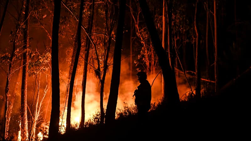 Le Portugal en proie à la canicule et aux feux de forêt, près de 3000 pompiers mobilisés