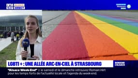 Strasbourg: une allée aux couleurs de l'arc-en-ciel LGBT+