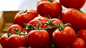 Depuis juin 2023, onze producteurs ont le Label Rouge sur leurs tomates (photo d'illustration).