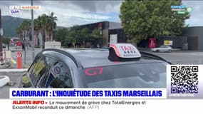 Tensions sur le carburant: les taxis marseillais inquiets