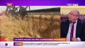 L’info éco/conso du jour d’Emmanuel Lechypre : La forte hausse des prix alimentaires mondiaux - 07/03