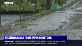 La pluie fait son retour, mais il en faudra bien plus pour remédier à la sécheresse