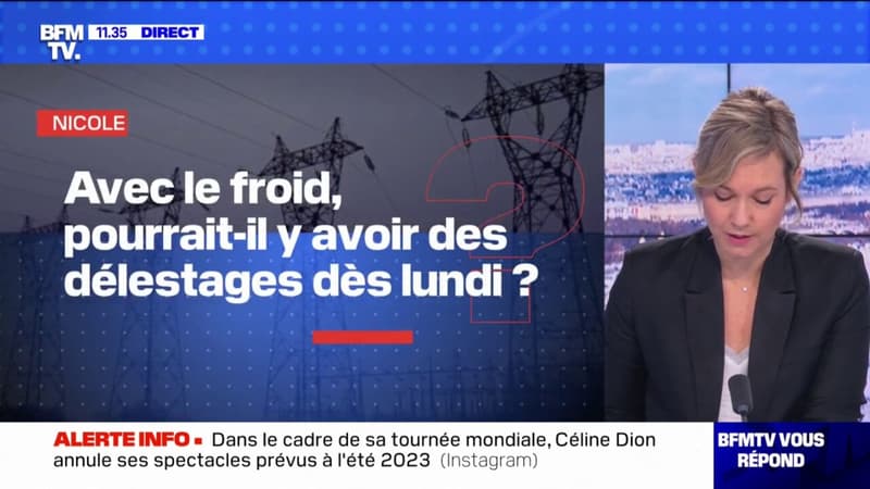 Avec le froid, pourrait-il y avoir des délestages dès lundi? BFMTV répond à vos questions