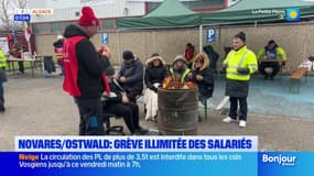 Novares: grève illimitée des salariés pour un meilleur plan social