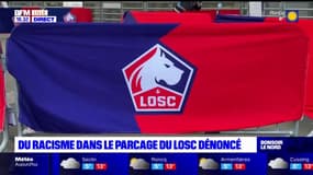 Insultes racistes en parcage du Losc: le club porte plainte contre X et appel les supporters à témoigner