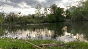 L'Ill à Strasbourg