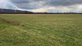 Le terrain où pourraient être construits deux réacteurs EPR2, dans l'Ain.