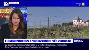 Les agriculteurs azuréens vont se mobilier vendredi matin avec un rassemblement à Nice
