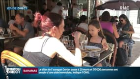 "A l’école, c’est tout le temps varié", des plats végétariens proposés dans les cantines à Toulouse depuis 2015