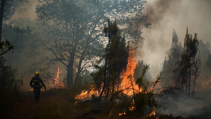 19.300 hectares dévastés, plus de 32.000 évacuations: le point sur une semaine de feux en Gironde