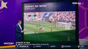 La recrue idéale pour le PSG selon Sagnol