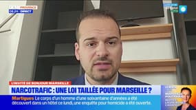 Narcotrafic: le sénateur Jérémy Bacchi déplore les angles morts de la loi examinée
