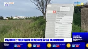 Caluire : Truffaut renonce à sa jardinerie