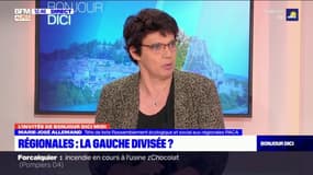 Régionales en Paca: la tête de liste à gauche dans les Hautes-Alpes "regrette" l'absence d'alliance avec LFI