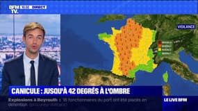 Canicule: jusqu'à 42 degrés à l'ombre - 07/08