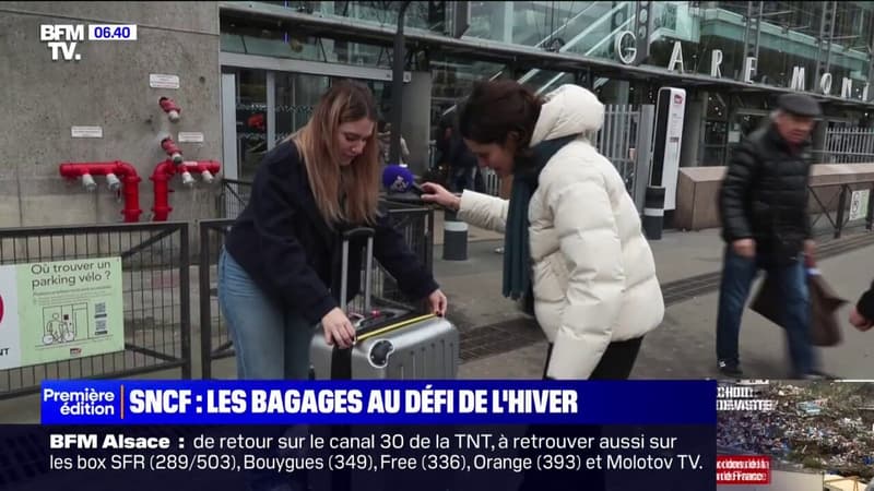 SNCF: quels types de bagages emporter dans le train pour éviter les nouvelles amendes?