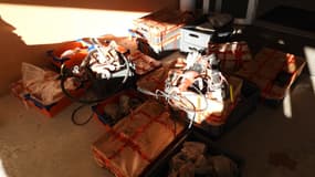 La saisie de fossiles des gendarmes de la brigade territoriale autonome de Castellane le 27 février 2025