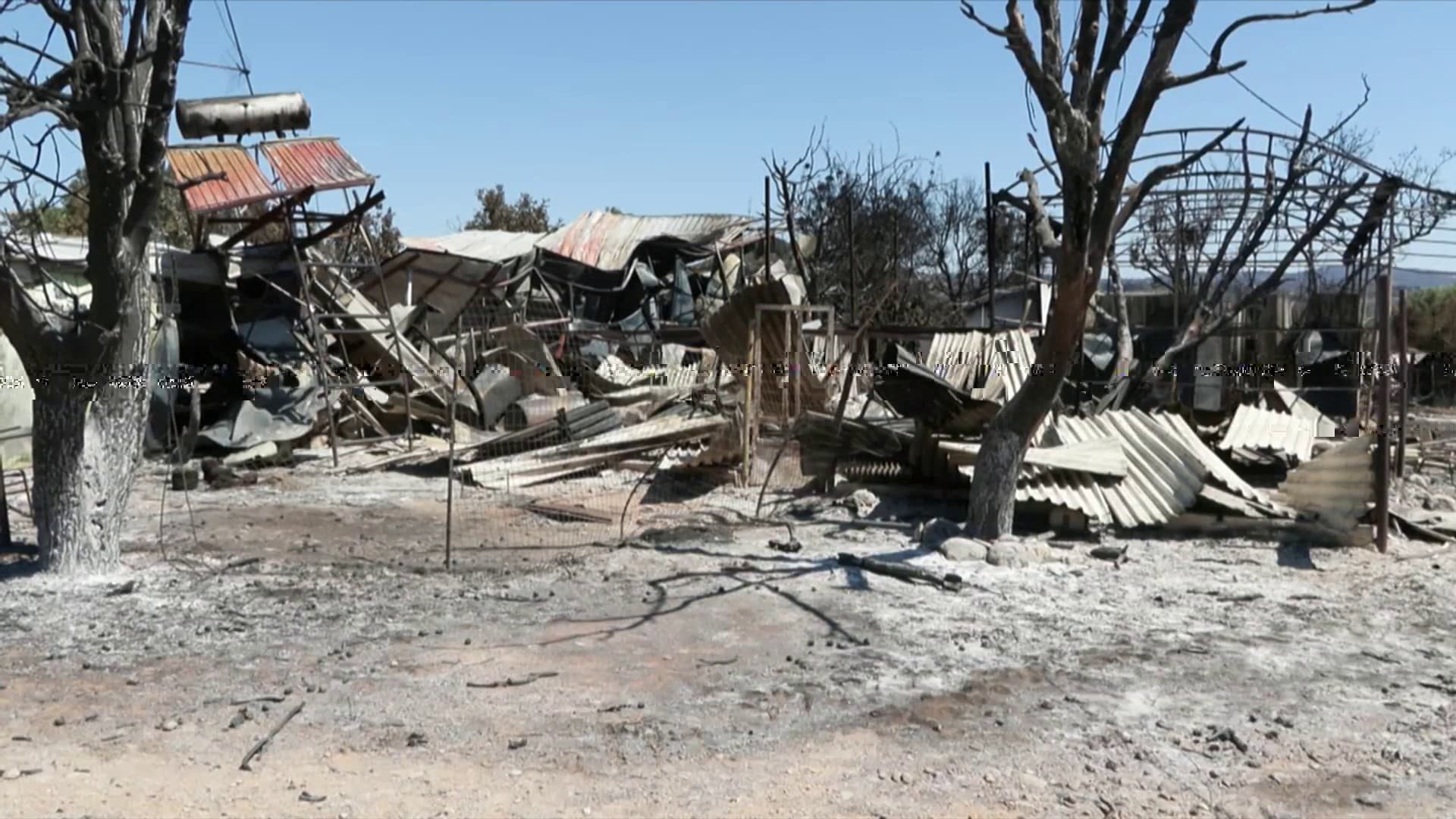 L'exploitation détruite de Theodoros Arvantis, un agriculteur grec de la région de Marathon, frappée par les incendies en Grèce d'août 2024.