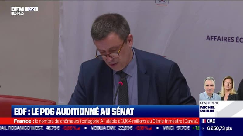 EDF : le PDG auditionné au Sénat - 26/10